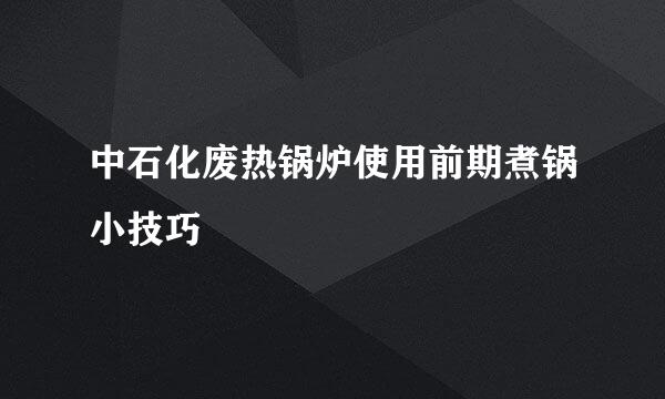 中石化废热锅炉使用前期煮锅小技巧