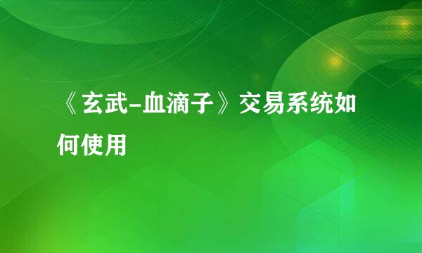 《玄武-血滴子》交易系统如何使用