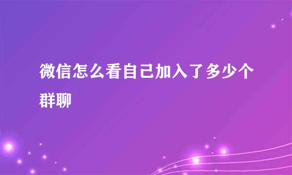微信怎么看自己加入了多少个群聊