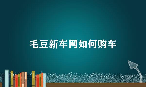 毛豆新车网如何购车