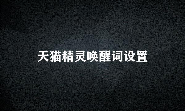天猫精灵唤醒词设置