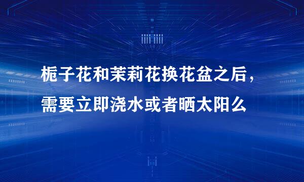 栀子花和茉莉花换花盆之后，需要立即浇水或者晒太阳么