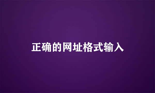 正确的网址格式输入
