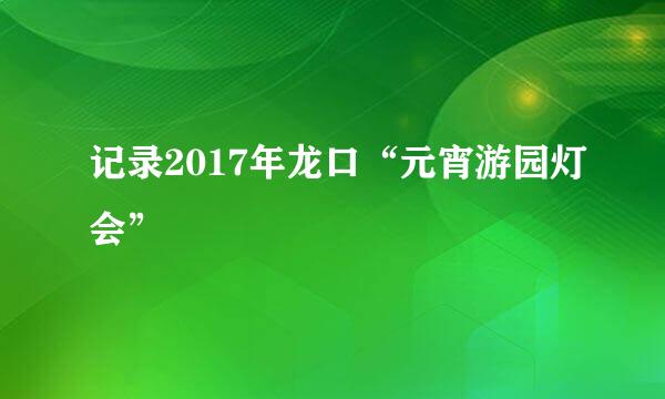 记录2017年龙口“元宵游园灯会”