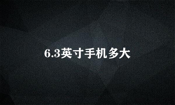 6.3英寸手机多大