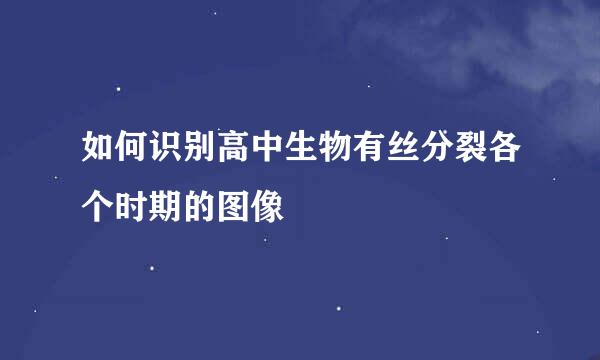 如何识别高中生物有丝分裂各个时期的图像