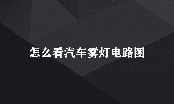 怎么看汽车雾灯电路图