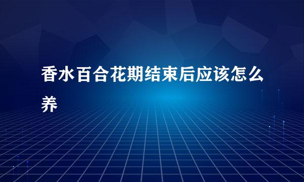 香水百合花期结束后应该怎么养