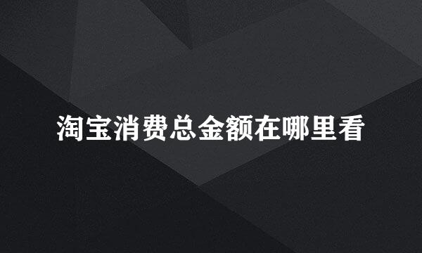 淘宝消费总金额在哪里看