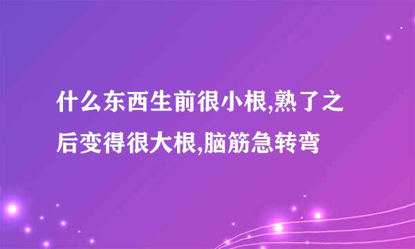 什么东西生前很小根,熟了之后变得很大根,脑筋急转弯