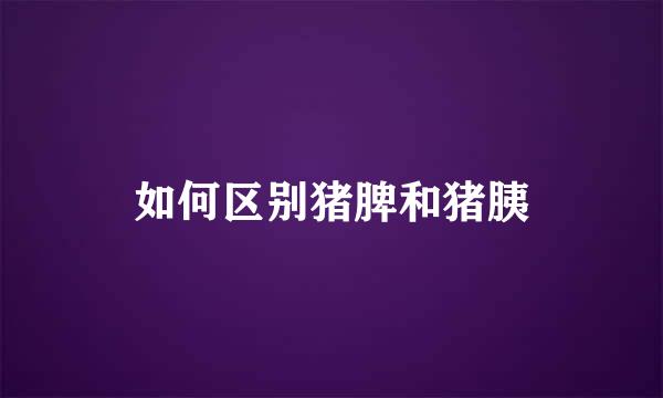 如何区别猪脾和猪胰