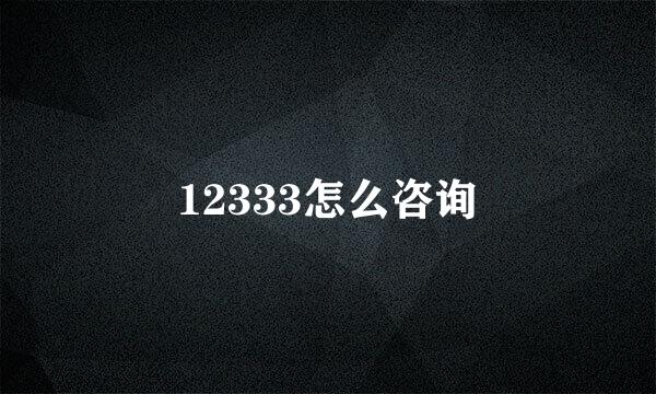 12333怎么咨询