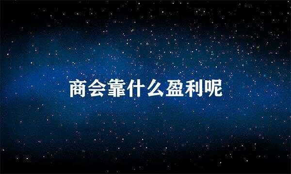 商会靠什么盈利呢