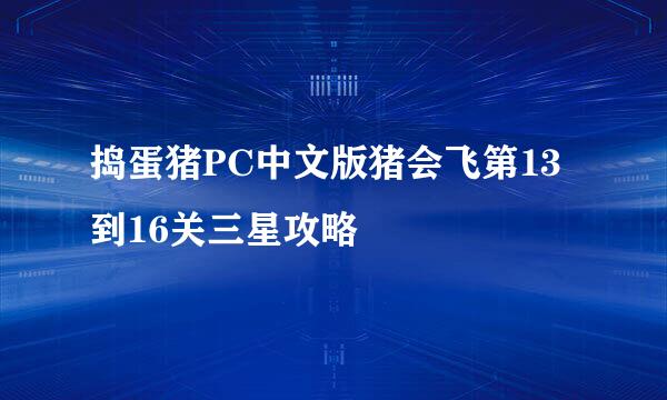 捣蛋猪PC中文版猪会飞第13到16关三星攻略