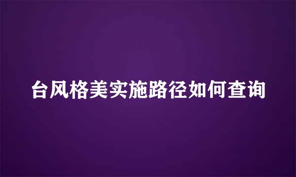 台风格美实施路径如何查询