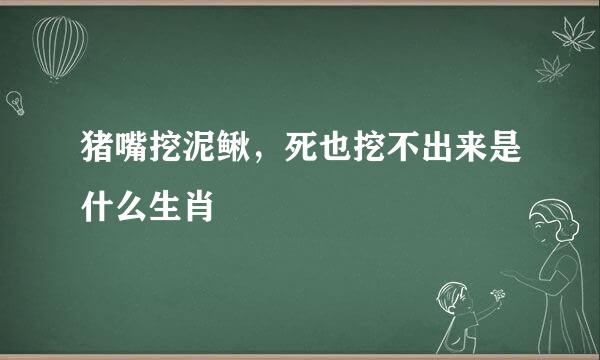 猪嘴挖泥鳅，死也挖不出来是什么生肖