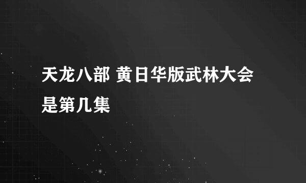 天龙八部 黄日华版武林大会是第几集