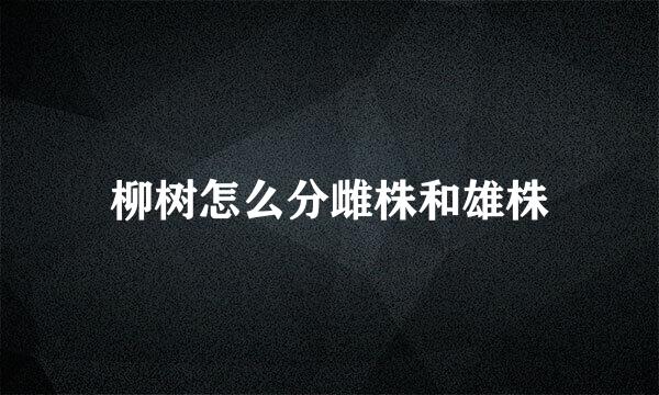 柳树怎么分雌株和雄株