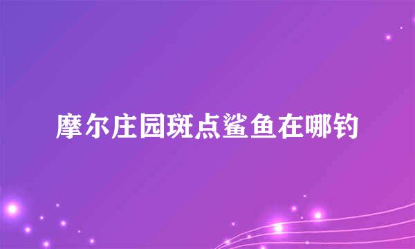 摩尔庄园斑点鲨鱼在哪钓