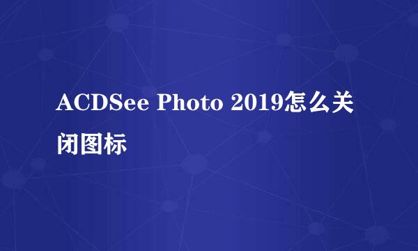 ACDSee Photo 2019怎么关闭图标