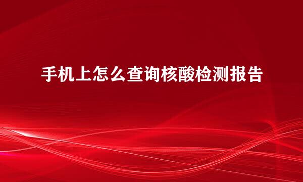 手机上怎么查询核酸检测报告
