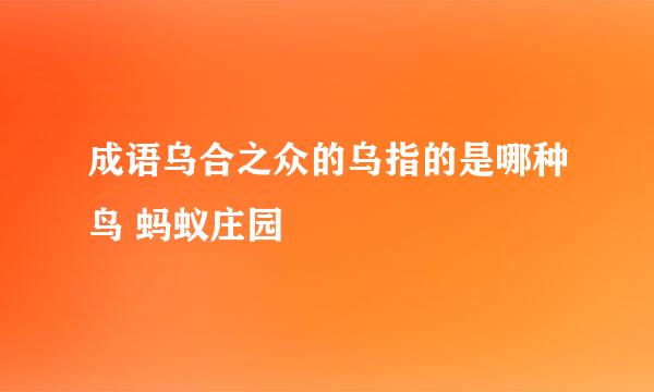 成语乌合之众的乌指的是哪种鸟 蚂蚁庄园