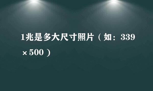 1兆是多大尺寸照片（如：339×500 )