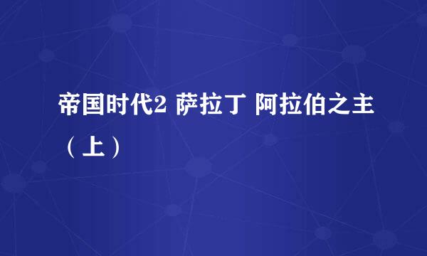帝国时代2 萨拉丁 阿拉伯之主（上）