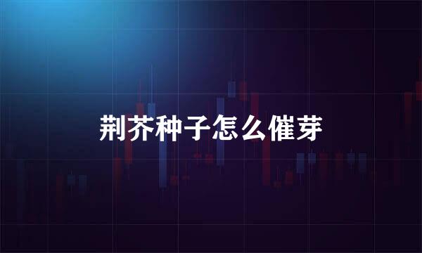 荆芥种子怎么催芽