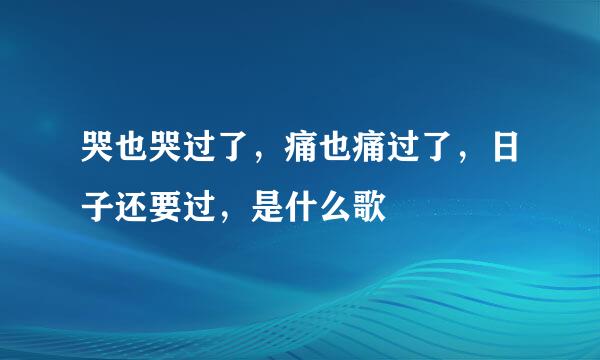 哭也哭过了，痛也痛过了，日子还要过，是什么歌