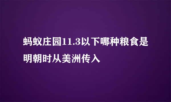 蚂蚁庄园11.3以下哪种粮食是明朝时从美洲传入