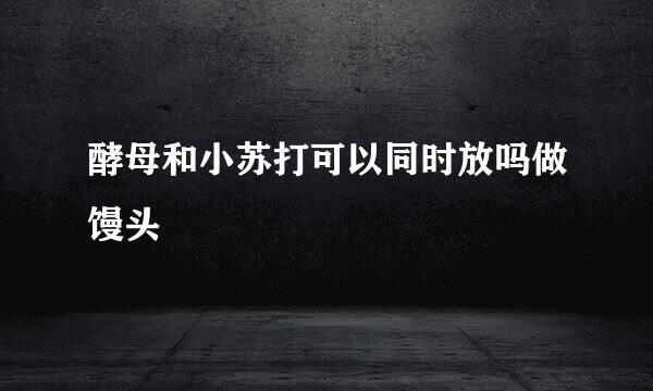酵母和小苏打可以同时放吗做馒头