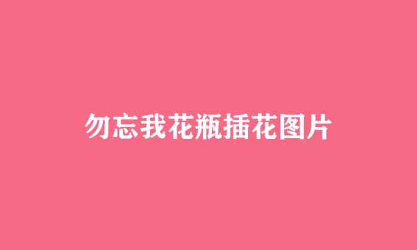 勿忘我花瓶插花图片