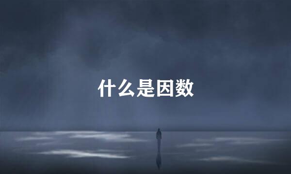 什么是因数