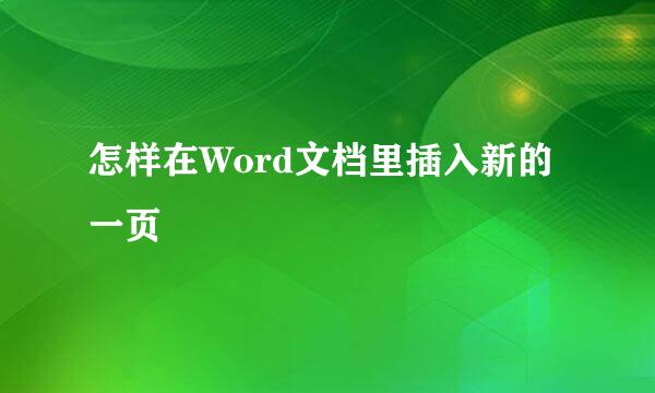 怎样在Word文档里插入新的一页