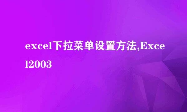 excel下拉菜单设置方法,Excel2003