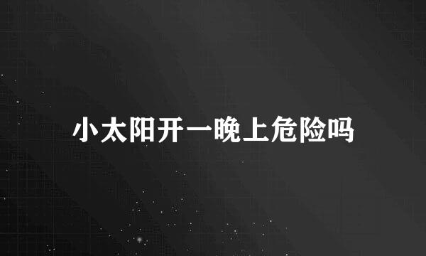 小太阳开一晚上危险吗