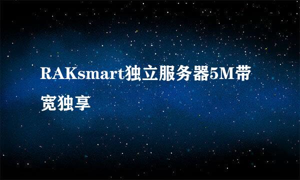 RAKsmart独立服务器5M带宽独享