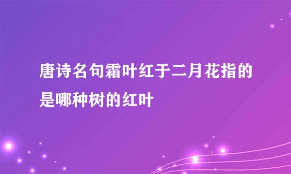 唐诗名句霜叶红于二月花指的是哪种树的红叶