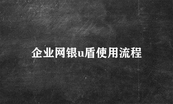 企业网银u盾使用流程