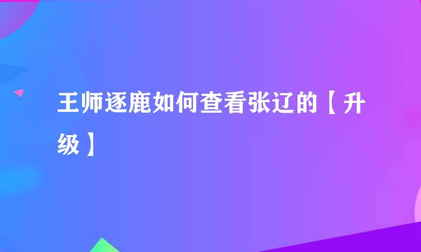 王师逐鹿如何查看张辽的【升级】