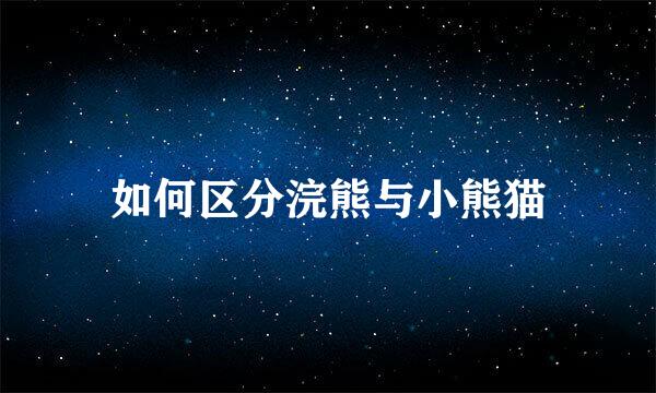 如何区分浣熊与小熊猫