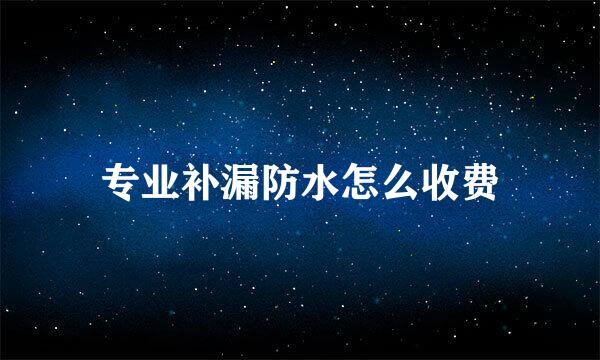 专业补漏防水怎么收费