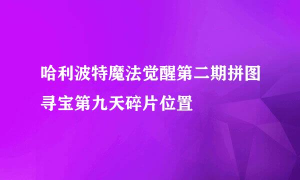 哈利波特魔法觉醒第二期拼图寻宝第九天碎片位置