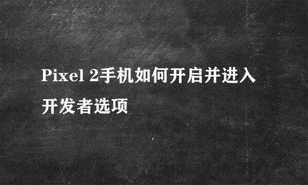 Pixel 2手机如何开启并进入开发者选项