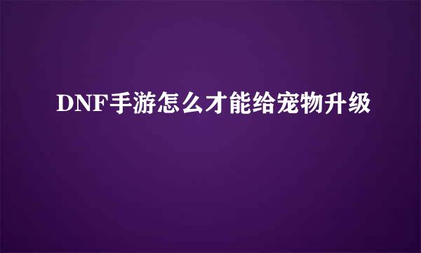 DNF手游怎么才能给宠物升级