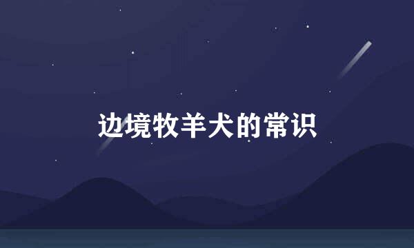 边境牧羊犬的常识