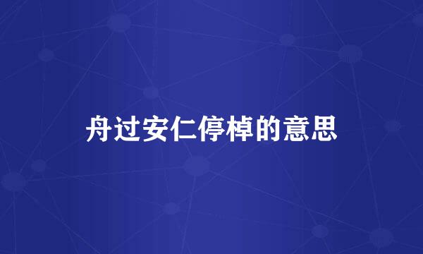 舟过安仁停棹的意思