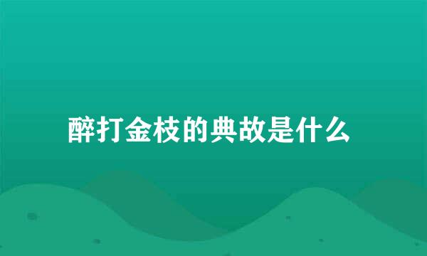 醉打金枝的典故是什么 