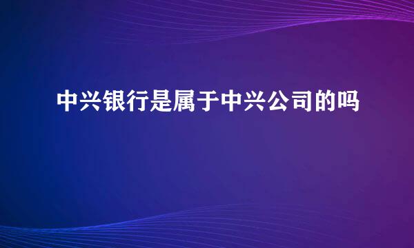 中兴银行是属于中兴公司的吗